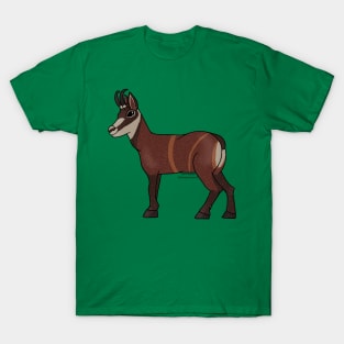 Shiva Lingam Chamois T-Shirt